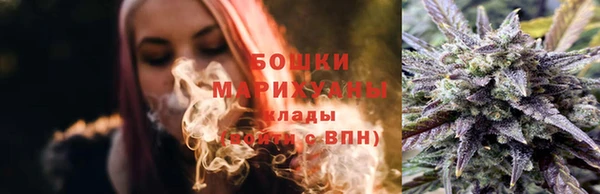 тгк Лиски