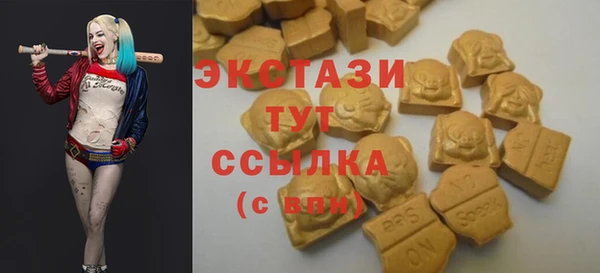 тгк Лиски