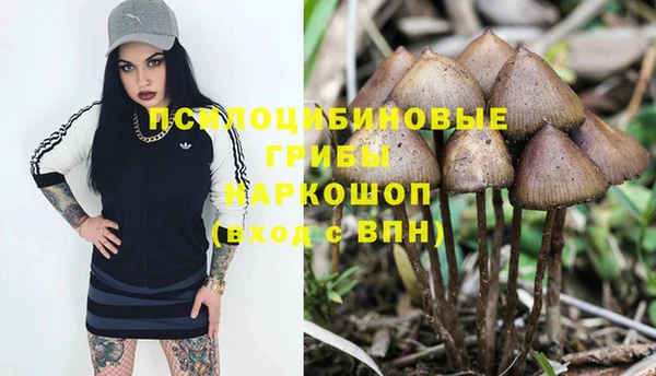 тгк Лиски