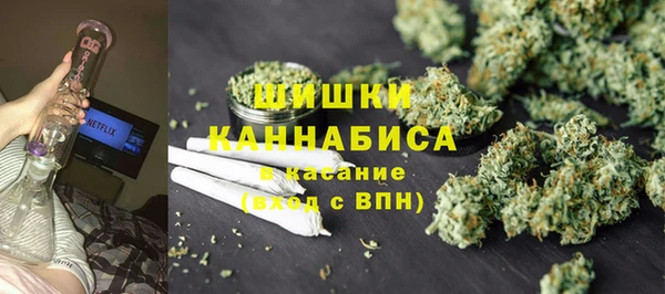 тгк Лиски