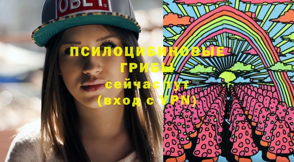 тгк Лиски