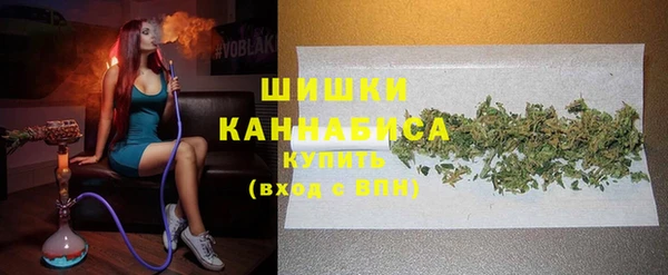 сатива Липки