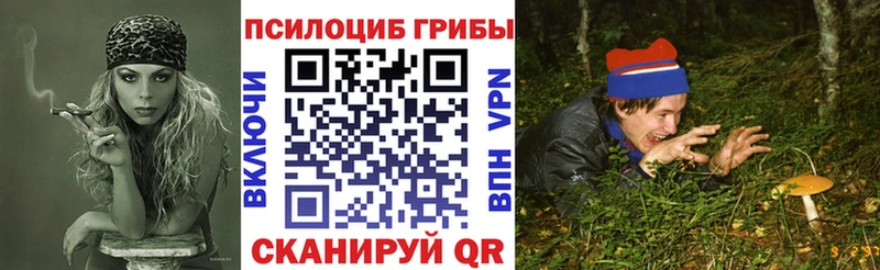 Галлюциногенные грибы Psilocybe  Купить где  Унеча 